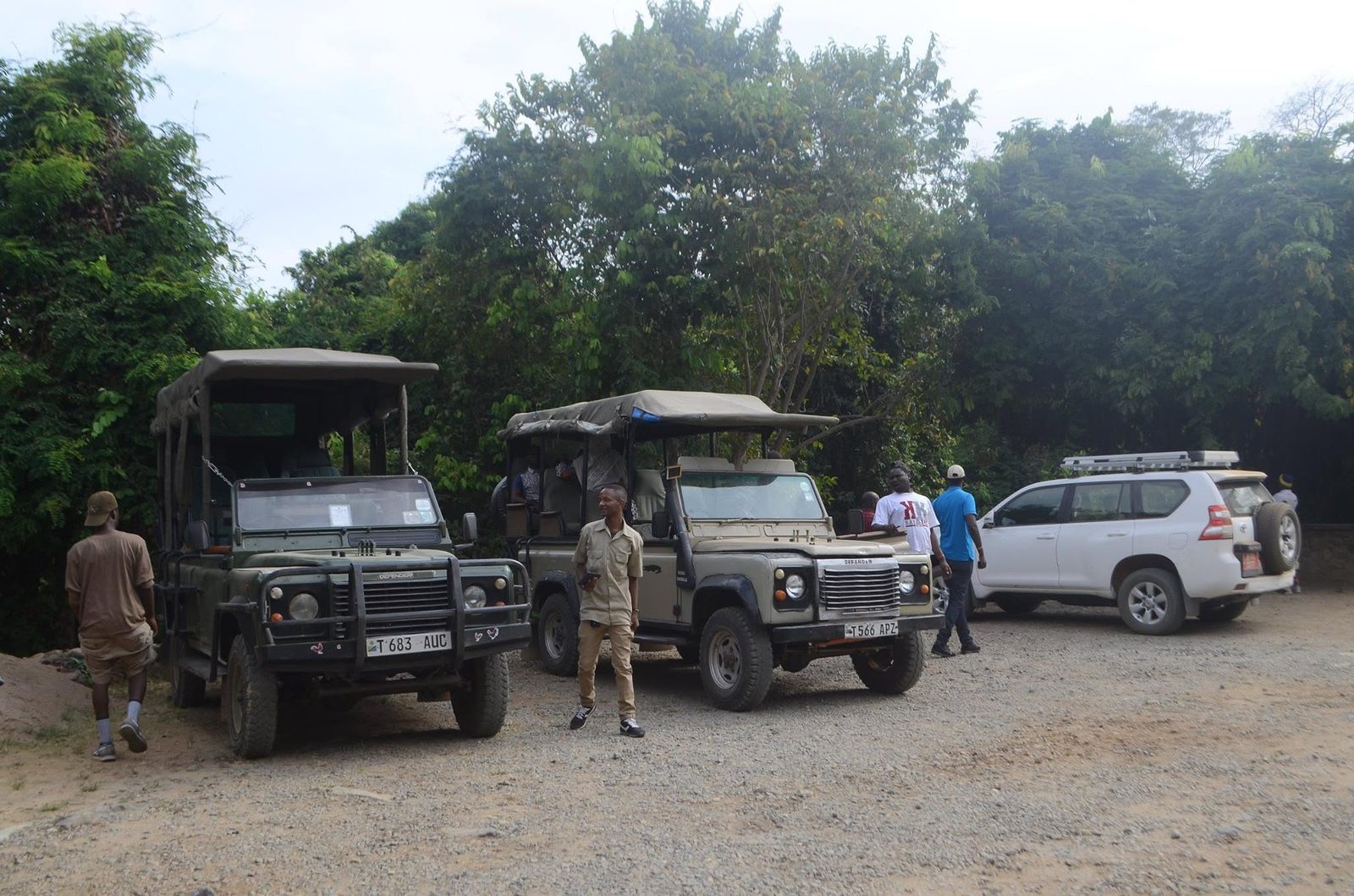 Vamos safari 4x4 vehicles and guides at Mikumi National Park